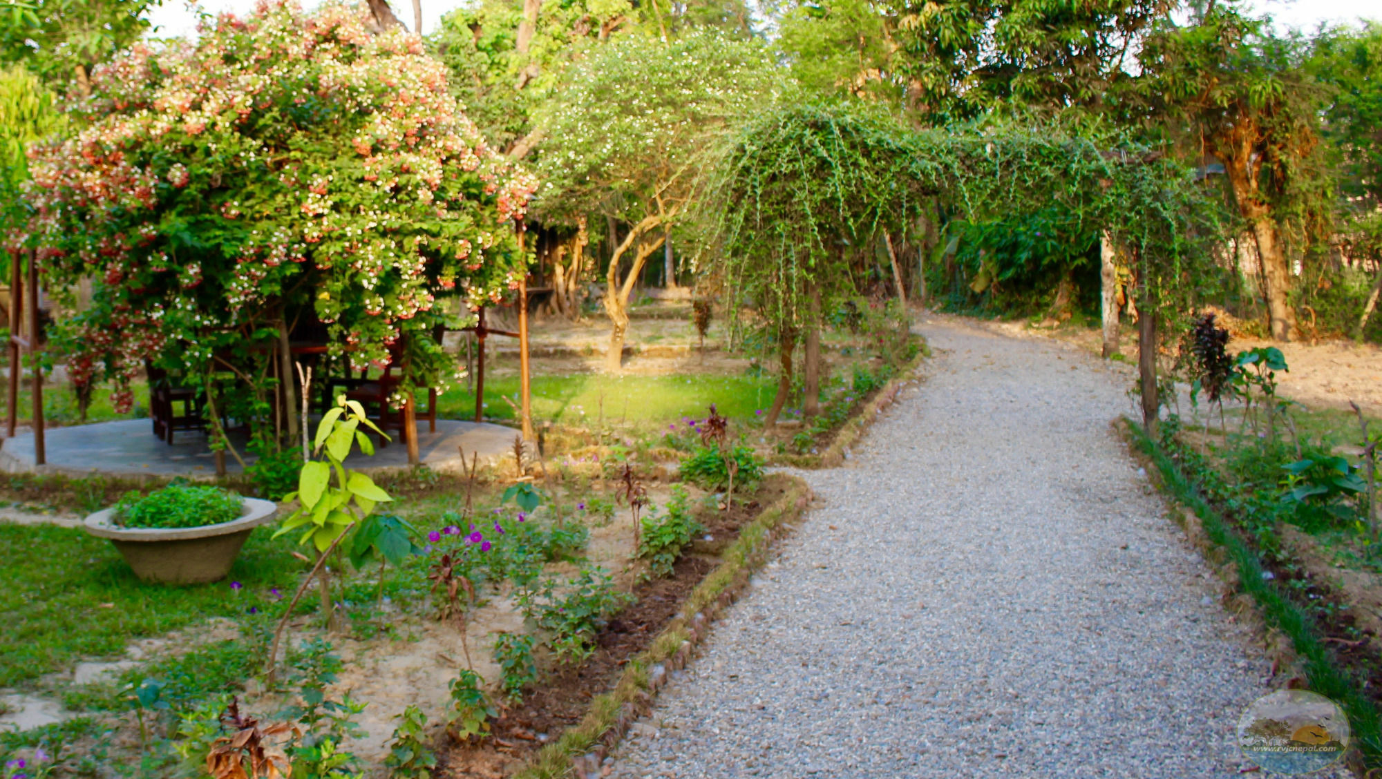 River View Jungle Camp Саураха Экстерьер фото
